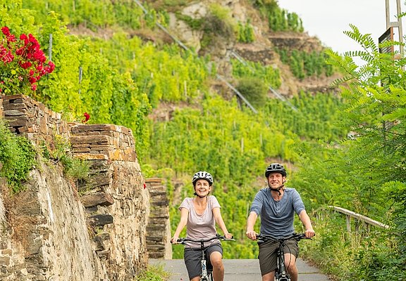 Mosel-Radweg bei Winningen 2