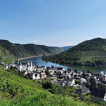 Blick auf Treis-Karden