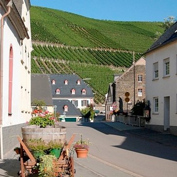 Blick auf die Weinberge