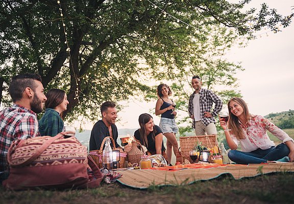 Picknick Shutterstock_1237674001 gekauft