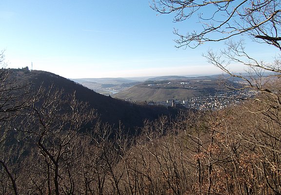 Blick auf die Stadt Bernkastel-Kues und das Kueser Plateau