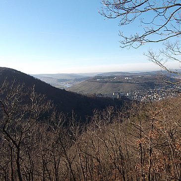 Blick auf die Stadt Bernkastel-Kues und das Kueser Plateau