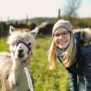 Spaziergang mit Alpakas