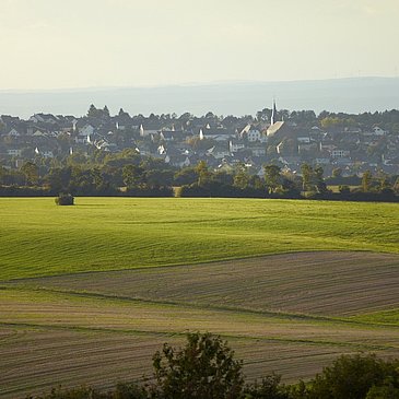 Monzelfeld im Hunsrück