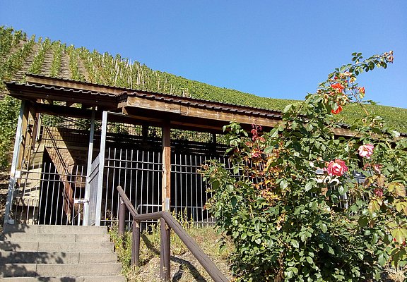 Kelteranlage in den Weinbergen
