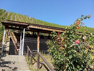 Kelteranlage in den Weinbergen