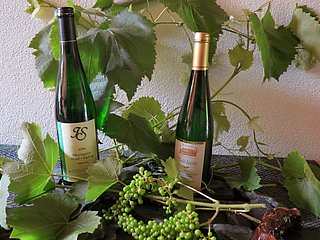 Weingut Ingo Später