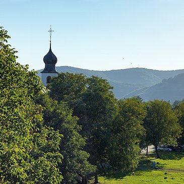 Brauneberg