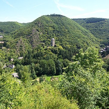 Treis: Burgenblick