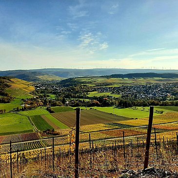 Aussicht auf Weinberge