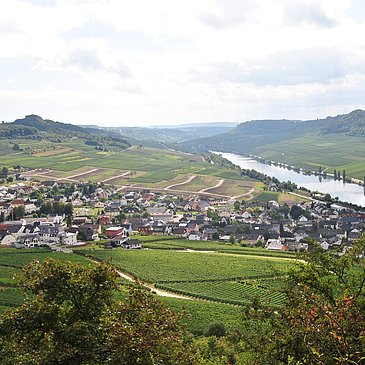 Blick auf Nittel