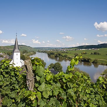 Blick auf die Weinberge und Kesten