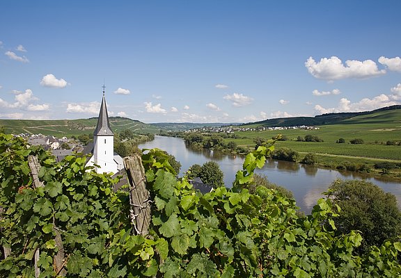 Blick auf die Weinberge und Kesten