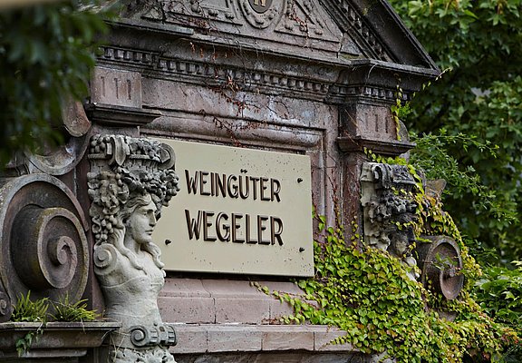 Schild im Weinberg
