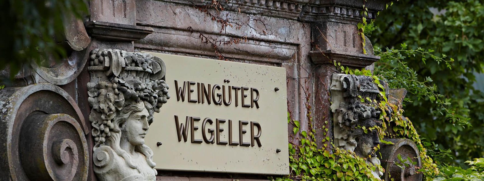 Schild im Weinberg