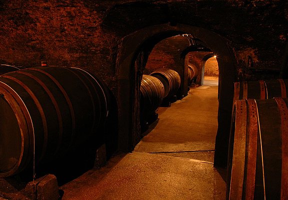 Keller Weingut Mönchhof