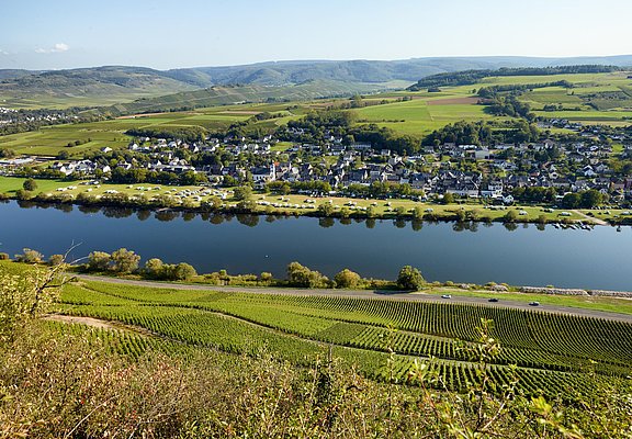 Blcik auf Brauneberg an der Mosel