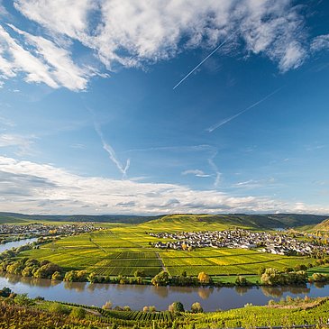 Moselblick bei Leiwen