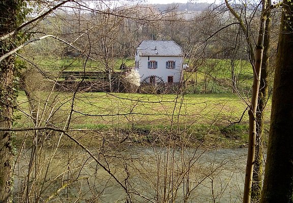 Wassermühle am Unterlauf der Lieser