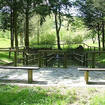 Wassertretbecken am Sauerbrunnen