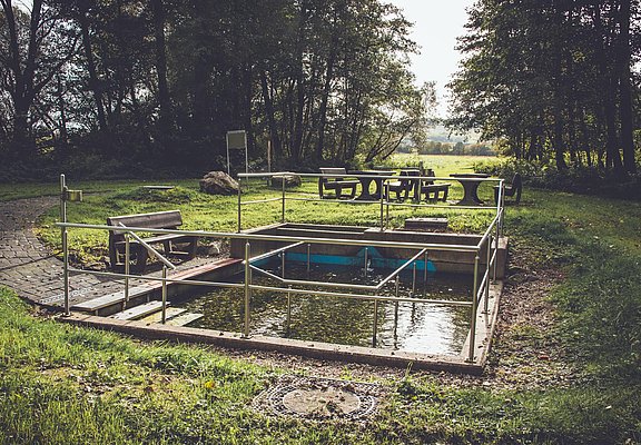 Wassertretbecken