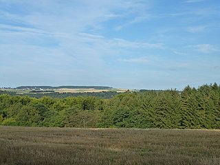 Ausblick auf die Wald- und Wiesenlandschaft