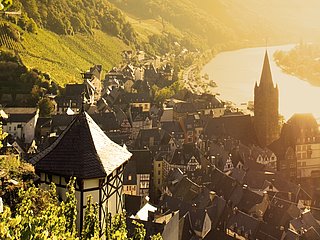 Thanisch-Häuschen im Doctorweinberg