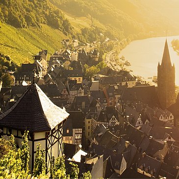 Thanisch-Häuschen im Doctorweinberg