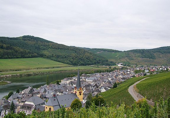 Zeltingen Panorama
