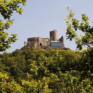 Landshut Castle