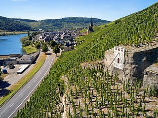 Sonnenuhr Zeltingen in den Moselweinbergen