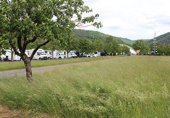 Wohnmobilplatz am Ortseingang von Veldenz