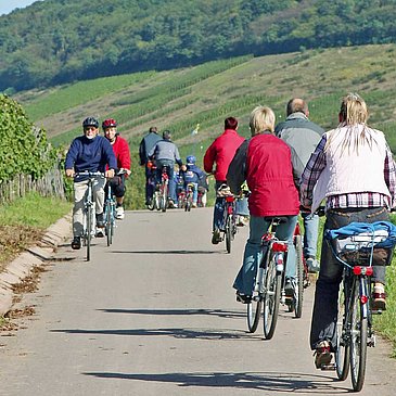 Radler im Weinberg