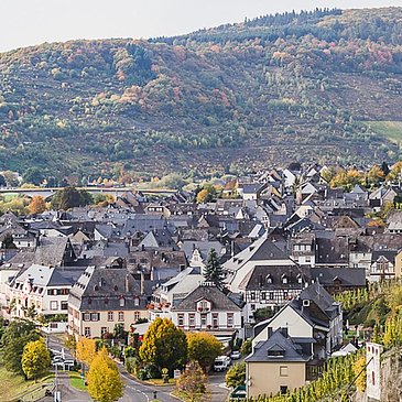 Moseldorf Zeltingen-Rachtig