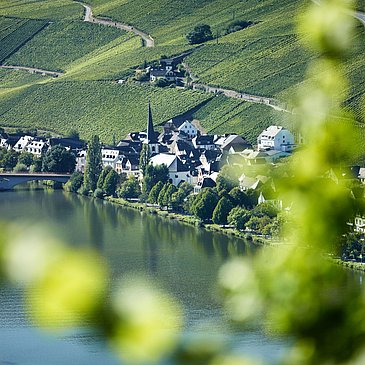 Weinort Piesport