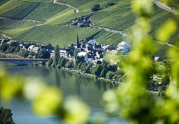 Weinort Piesport