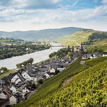 Weinort Lieser