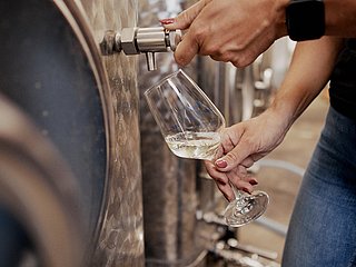 Jungwein-Tasting im Weinkeller