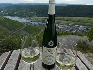 Im Weinberg