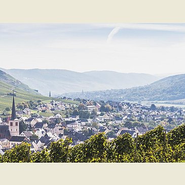 Blick auf Rachtig im Frühling