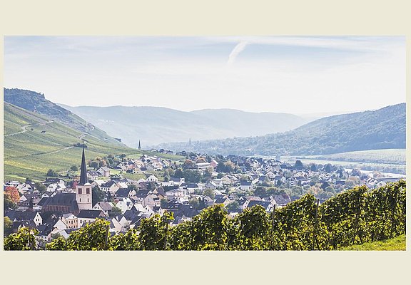 Blick auf Rachtig im Frühling