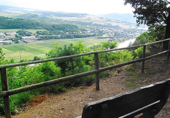 Blick vom Kueser Plateau auf Mülheim an der Mosel